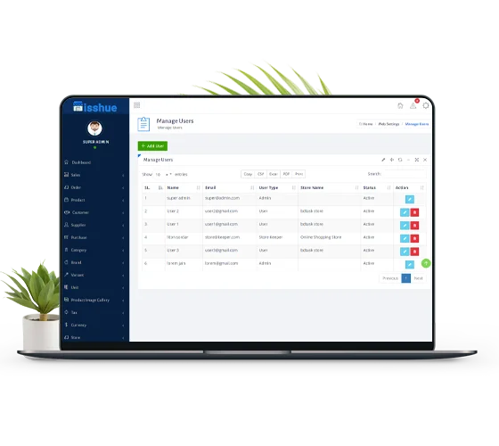 setup of e-commerce software